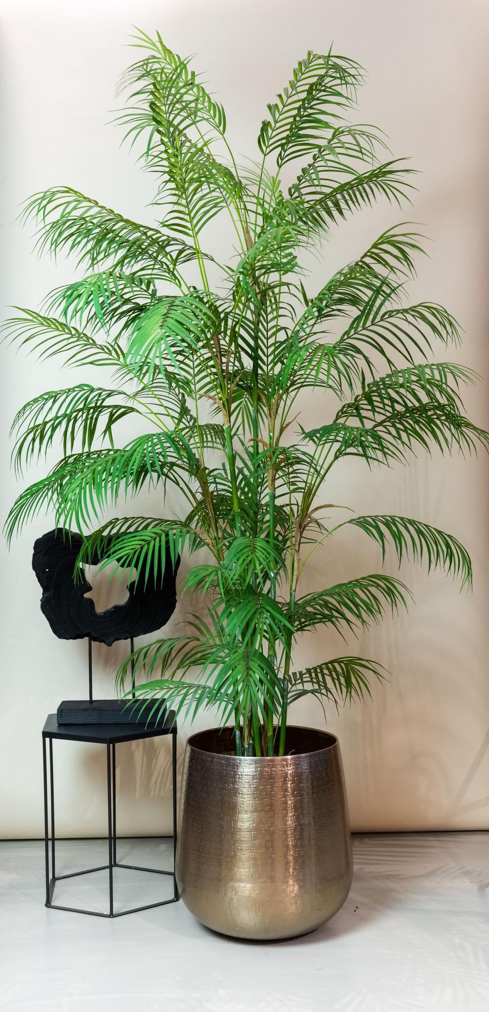 Kunstplant realistisch | 180 cm | Binnenplant | Chamaedorea Elegans Bergpalm