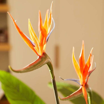 Strelitzia kunstplant met bloemen 120 cm | Tropische paradijsvogelplant | Kunstplant in zwarte pot