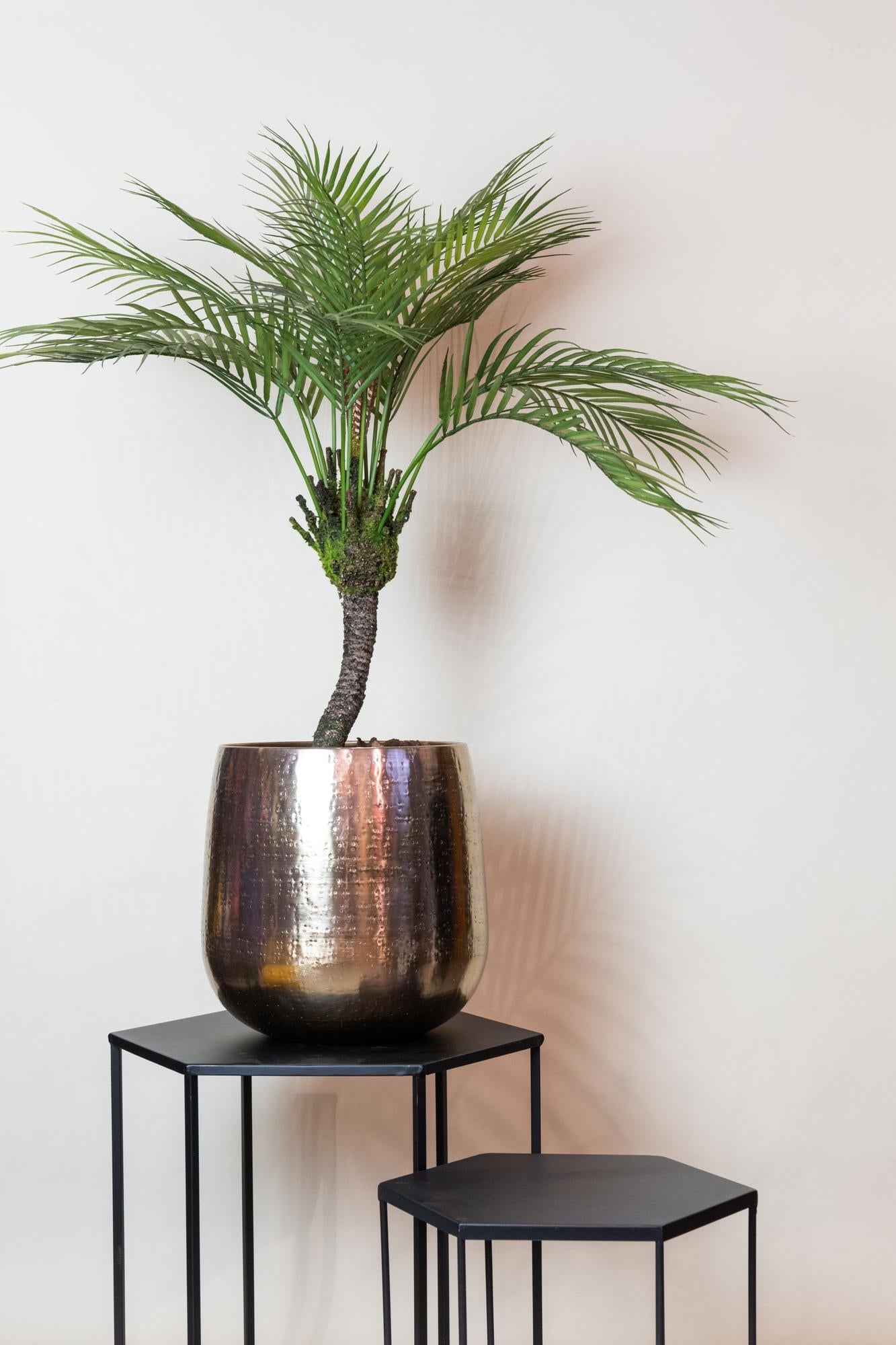 Kunstplant realistisch | 85 cm | Binnenplant | Chamaedorea Bergpalm