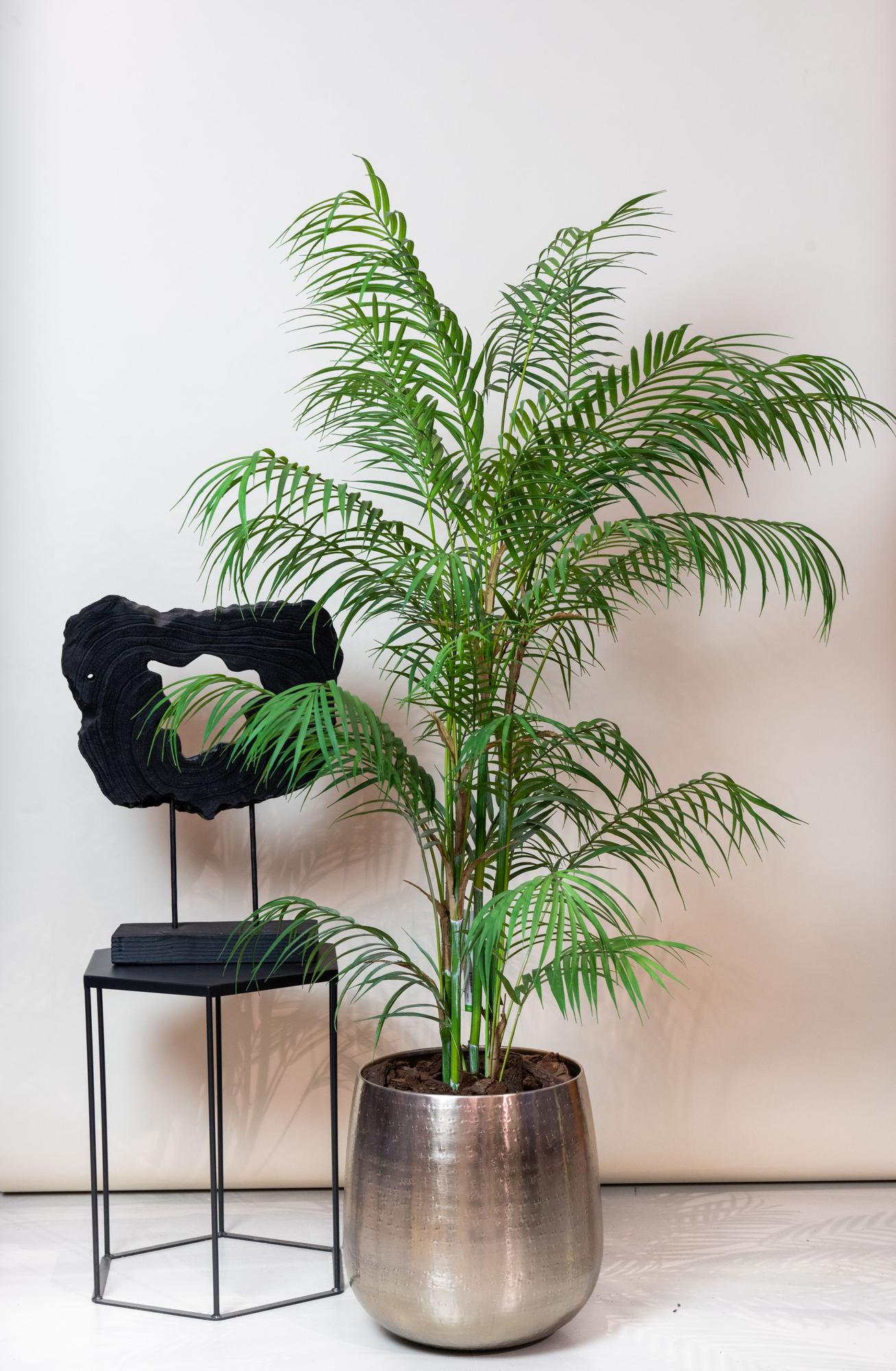 Kunstplant realistisch | 120 cm | Binnenplant | Chamaedorea Elegans Bergpalm
