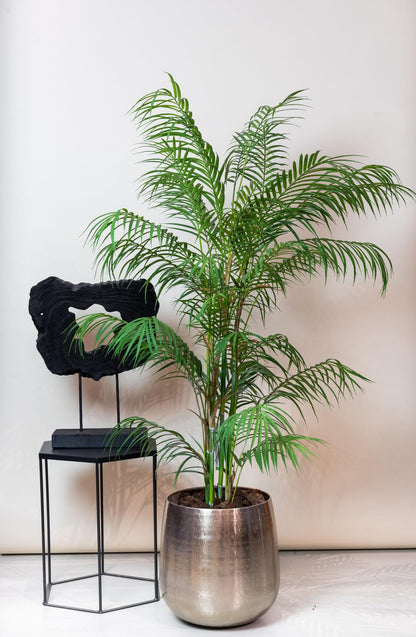 Kunstplant realistisch | 120 cm | Binnenplant | Chamaedorea Elegans Bergpalm