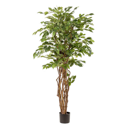 Kunstplant Ficus Liana 170 cm | Luxe Vioolbladplant | Direct Sfeereffect