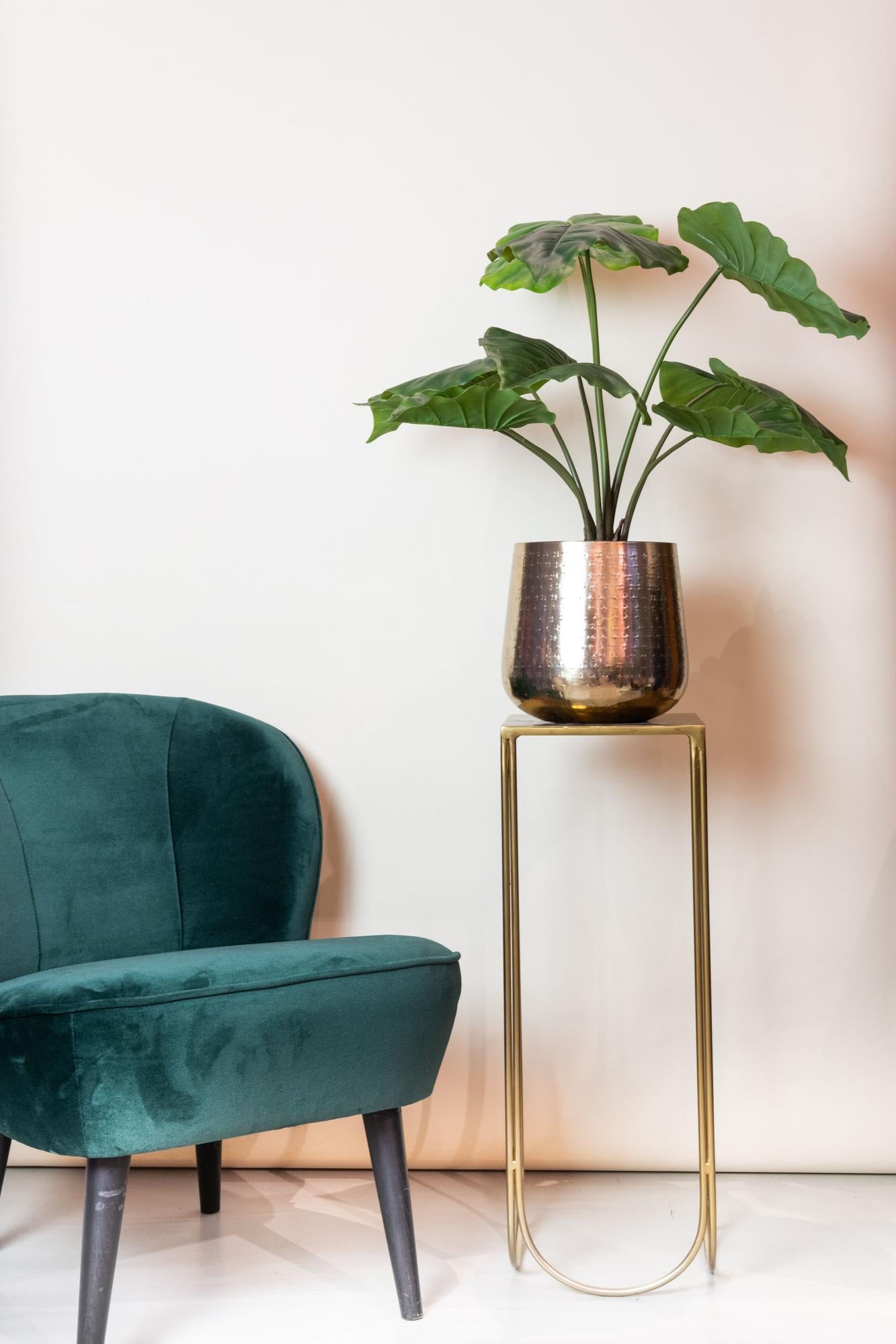 Kunstplant realistisch | 70 cm | Binnenplant | Alocasia Olifantsoor